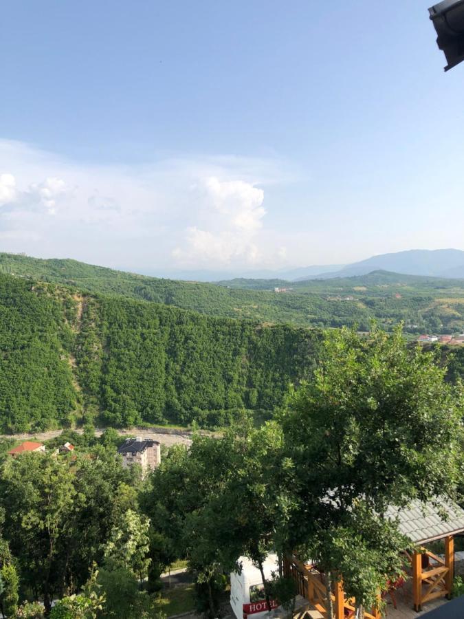 Bujtina Vrenezi Hotel Peshkopi Ngoại thất bức ảnh